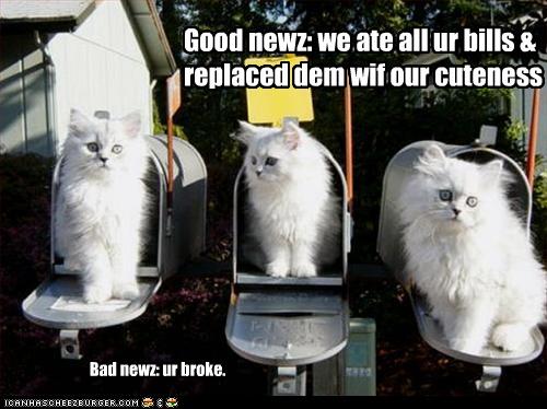 funny pictures of cats with captions