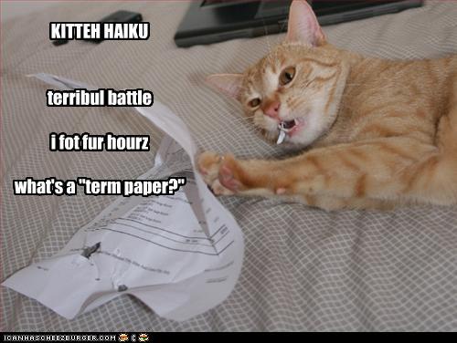 funny pictures KITTEH HAIKU terribul battle i fot fur hourz what's a "term paper?" funny pictures-KITTEH HAIKU terribul battle i fot fur hourz what's a "term paper?"