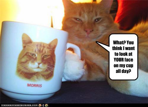 funny pictures-What? You think I want to look at YOUR face on my cup all day?