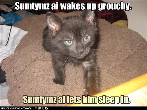 funny pictures - Sumtymz ai wakes up grouchy. Sumtymzai lets him sleep in.