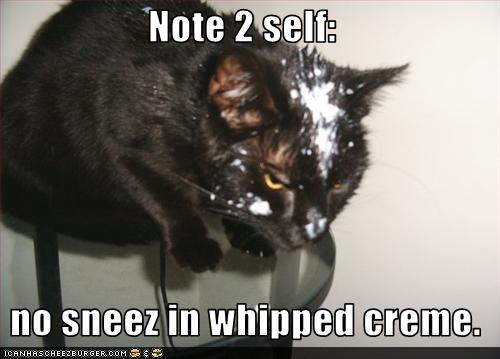 funny pictures - Note 2 self:    no sneez in whipped creme.