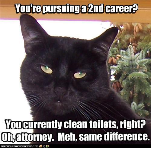 funny pictures - *CLOSE ENOUGH*