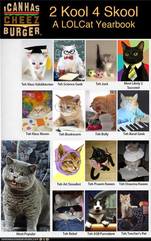Funny Pictures - LOLCat Yearbook