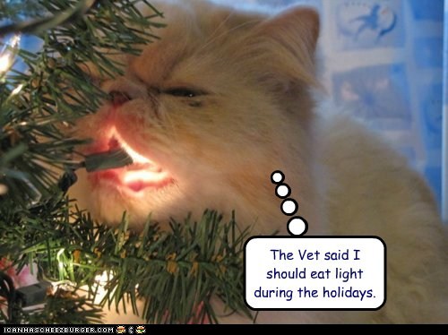 funny pictures - The Vet said I should eat light during the holidays.
