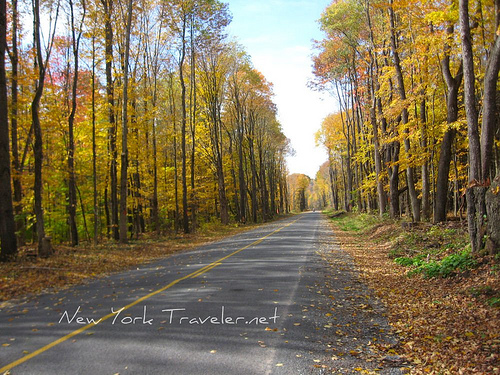 Potato Hill Rd Adirondacks 2