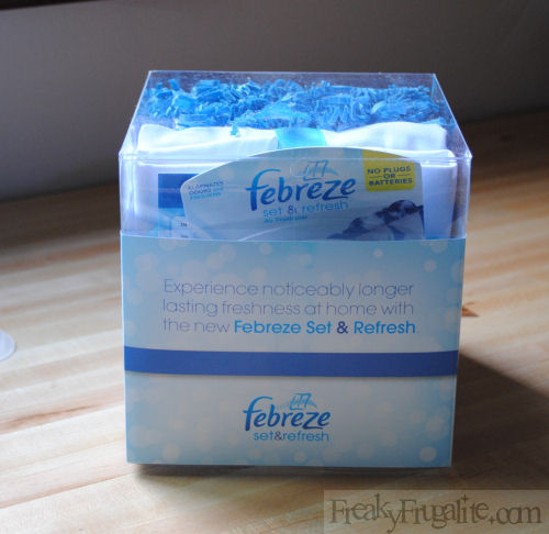 LivFebreze1